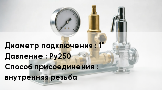 Группа безопасности котла 1" P=Ру250 внутренняя резьба